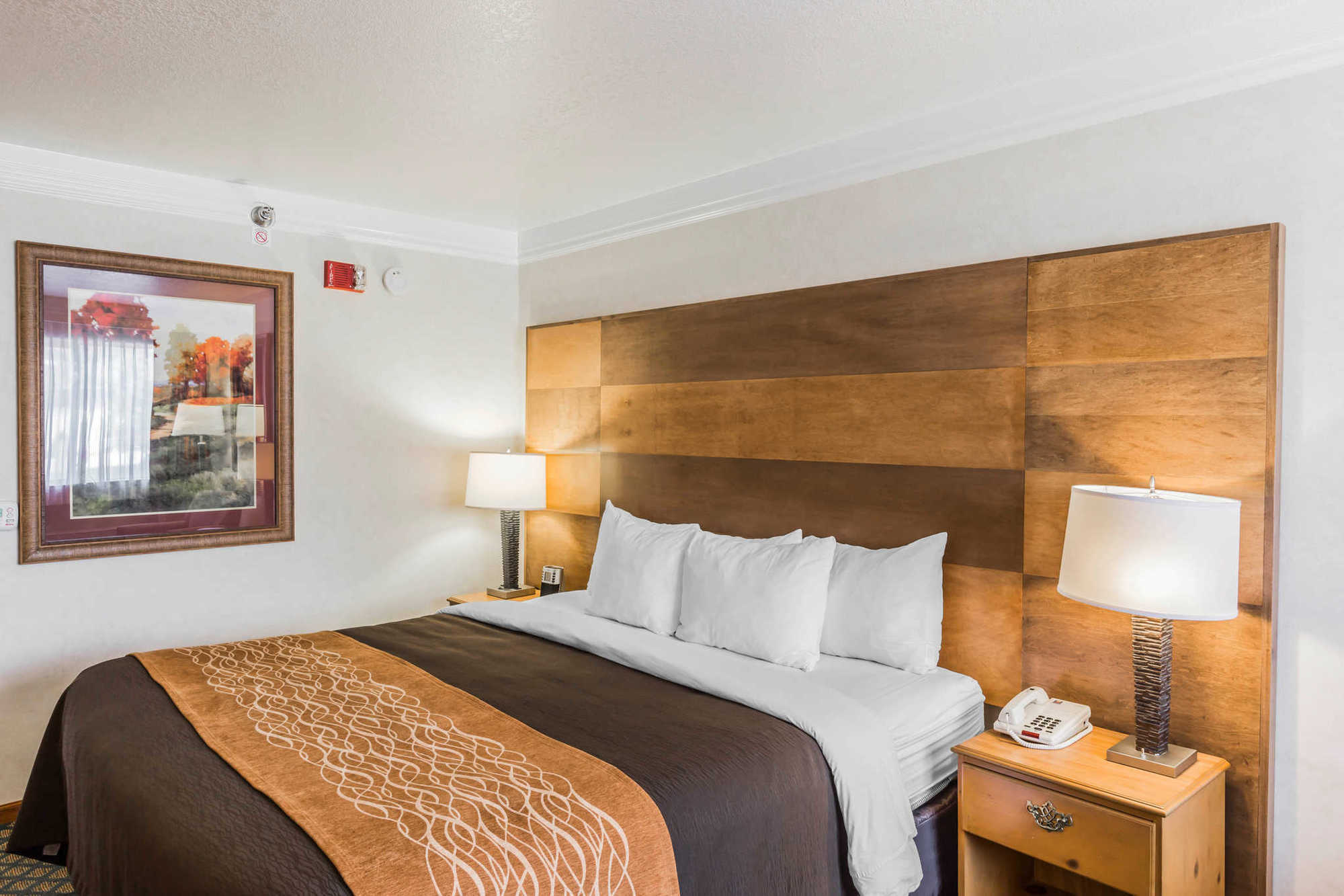 Comfort Inn&Suites Durango Chambre photo