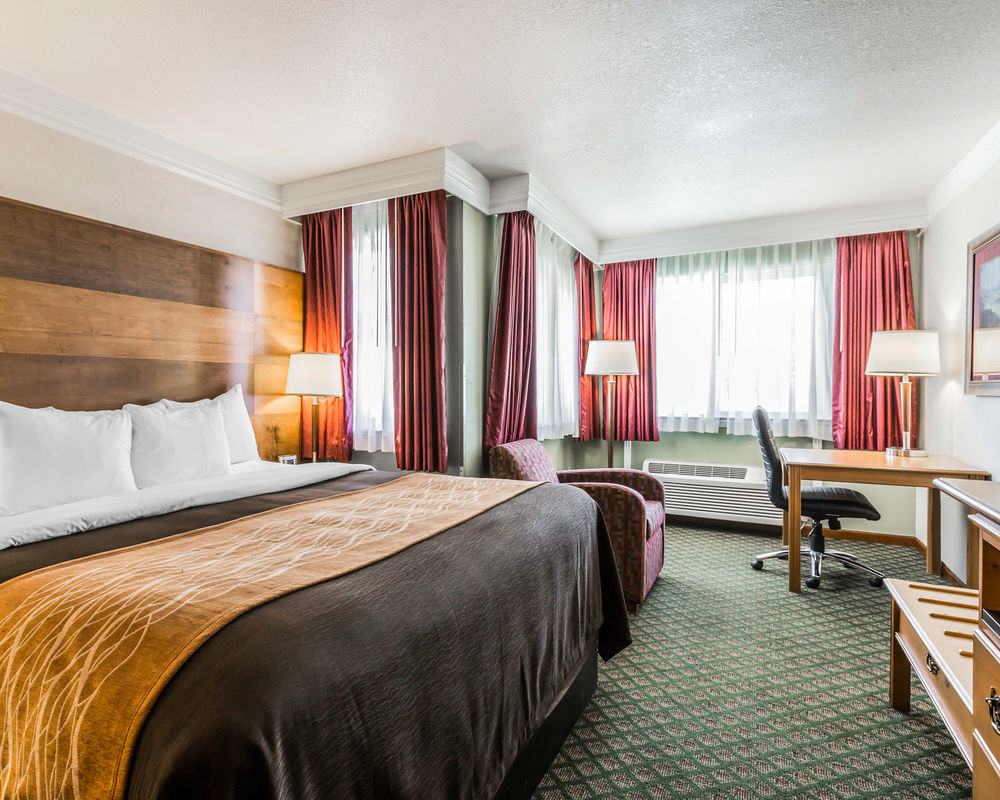 Comfort Inn&Suites Durango Extérieur photo